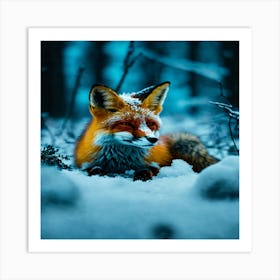 Red Fox In The Snow Art Print