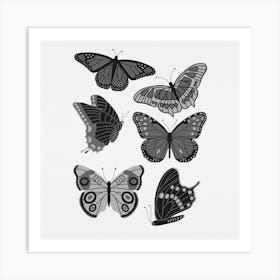 Texas Butterflies   Black And White Square Art Print