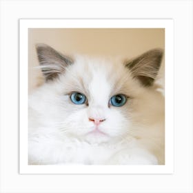 Blue Eyes Cat Art Print