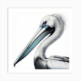 Pelican - Abstract Line Art Illustration 282 Art Print