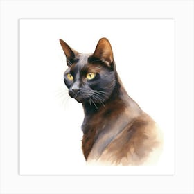 Bombay Chocolate Cat Portrait 1 Art Print