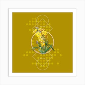 Vintage Cheiranthus Flower Botanical with Geometric Line Motif and Dot Pattern n.0199 Art Print