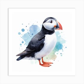 Bird Puffin Art Print