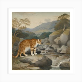 Cat By A Stream Art Print