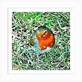 Robin In The Grass Art Print