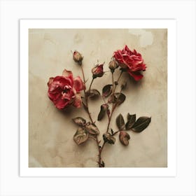 Roses 3 Art Print