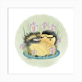 Duckling/caneton Art Print