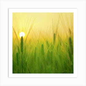 Sunrise Over A Wheat Field Art Print