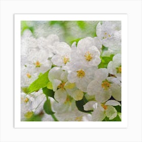 White Blossoms Art Print