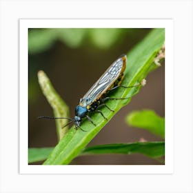 Blue Bug On Leaf 1 Art Print