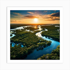 Everglades Art Print