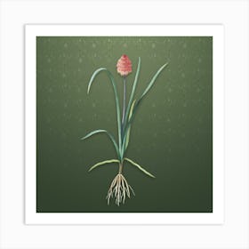 Vintage Veltheimia Abyssinica Botanical on Lunar Green Pattern Art Print