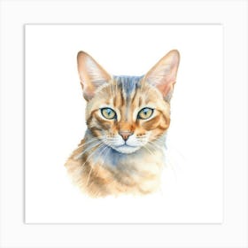 Thai Pointed Cat Portrait 2 Art Print