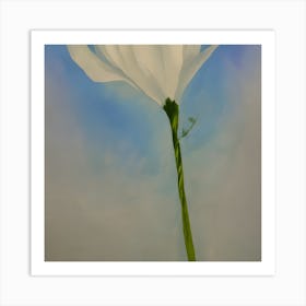 A Beautiful Delicate Painting (5) (1) Art Print