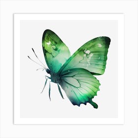 Green Butterfly Art Print