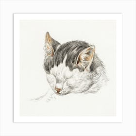 Sketch Of A Cat 1, Jean Bernard Art Print