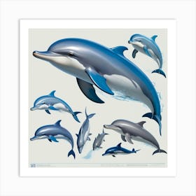 Dolphins Art Print