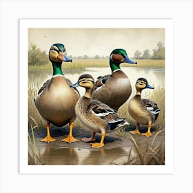 Mallard Duck Family Art Print