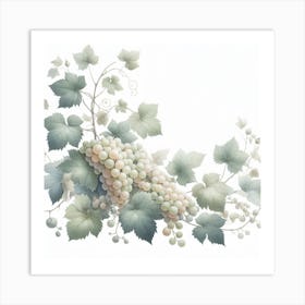 White Grapes and Vine Art Print