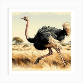 Wild Bird Artwork 17 Art Print