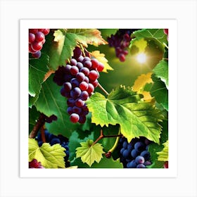 Grapes On The Vine 49 Art Print