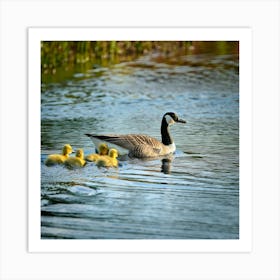 Firefly Baby Ducklings And Canadian Geese Swimming Together 37848 (2) Art Print