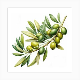 Watercolor Painting Of An Olive Branch With Green Olives Art Print