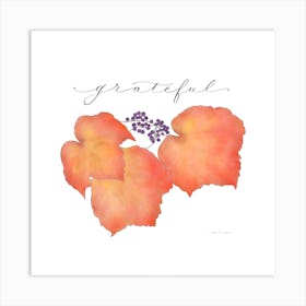 Grateful Autumn Leaves with White Background Art Print