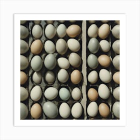 Eggs In A Carton 1 Art Print