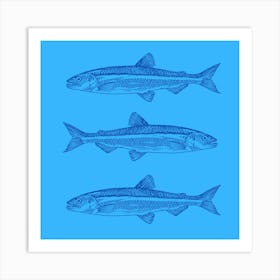 sardines Art Print