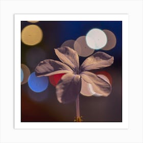 Bokeh Flower Art Print