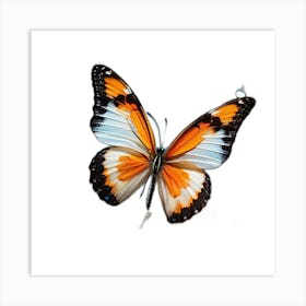 Butterfly On A White Background Art Print