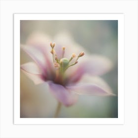 A Close Up Of A Delicate Bird Bud Just Beginning To Bloom, With Soft Petals And Hints Of Vibrant Col (5) Art Print