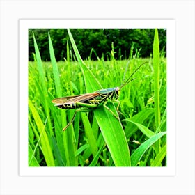 Grasshoppers Insects Jumping Green Legs Antennae Hopper Chirping Herbivores Garden Fields (11) Art Print