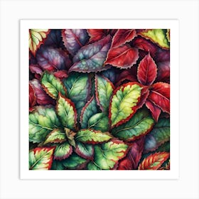 Coleus Leaves Art Print