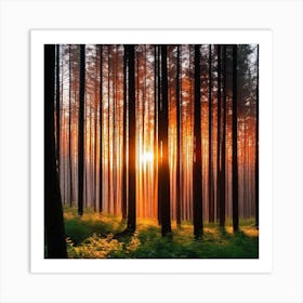 Sunrise In The Forest 28 Art Print