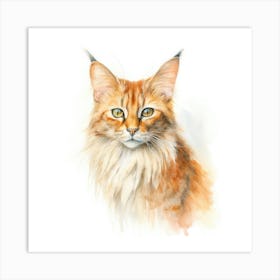 Somali Cat Portrait 3 Art Print