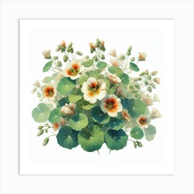 Flowers of Nasturtium 2 Art Print