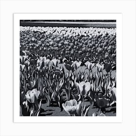 Tulips In The Field 1 Art Print