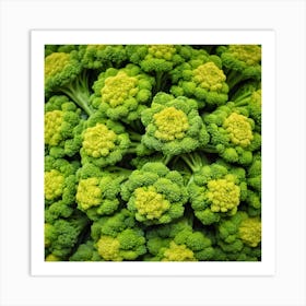 Close Up Of Green Broccoli 3 Art Print