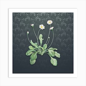 Vintage Daisy Flowers Botanical on Slate Gray Pattern n.1408 Art Print