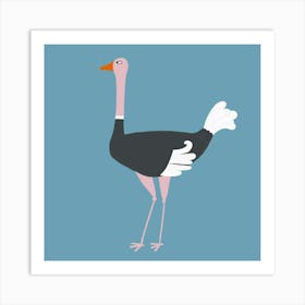 Ostrich Art Print