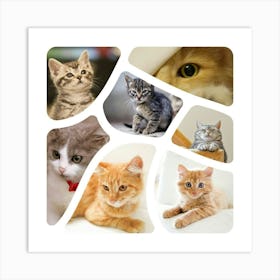 Collage Of Cats Art Print