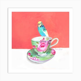 Budgerigar On Pink And Green Tea Cup Square Art Print