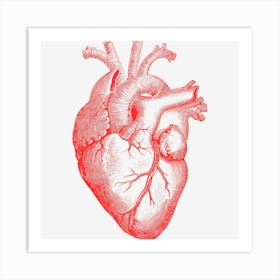 Anatomical Heart Spreading Love Artsy Valentine Gift Art Print