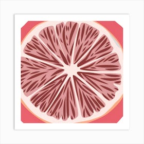 Pink Grapefruit 6 Art Print