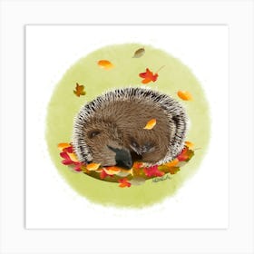 Hedgehog /Hérisson  Art Print