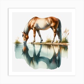 Horse Drinking Water Art Print