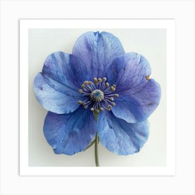 Blue Hellebore 4 Art Print