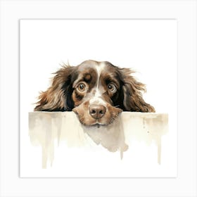 Spaniel Boykin 4 Art Print